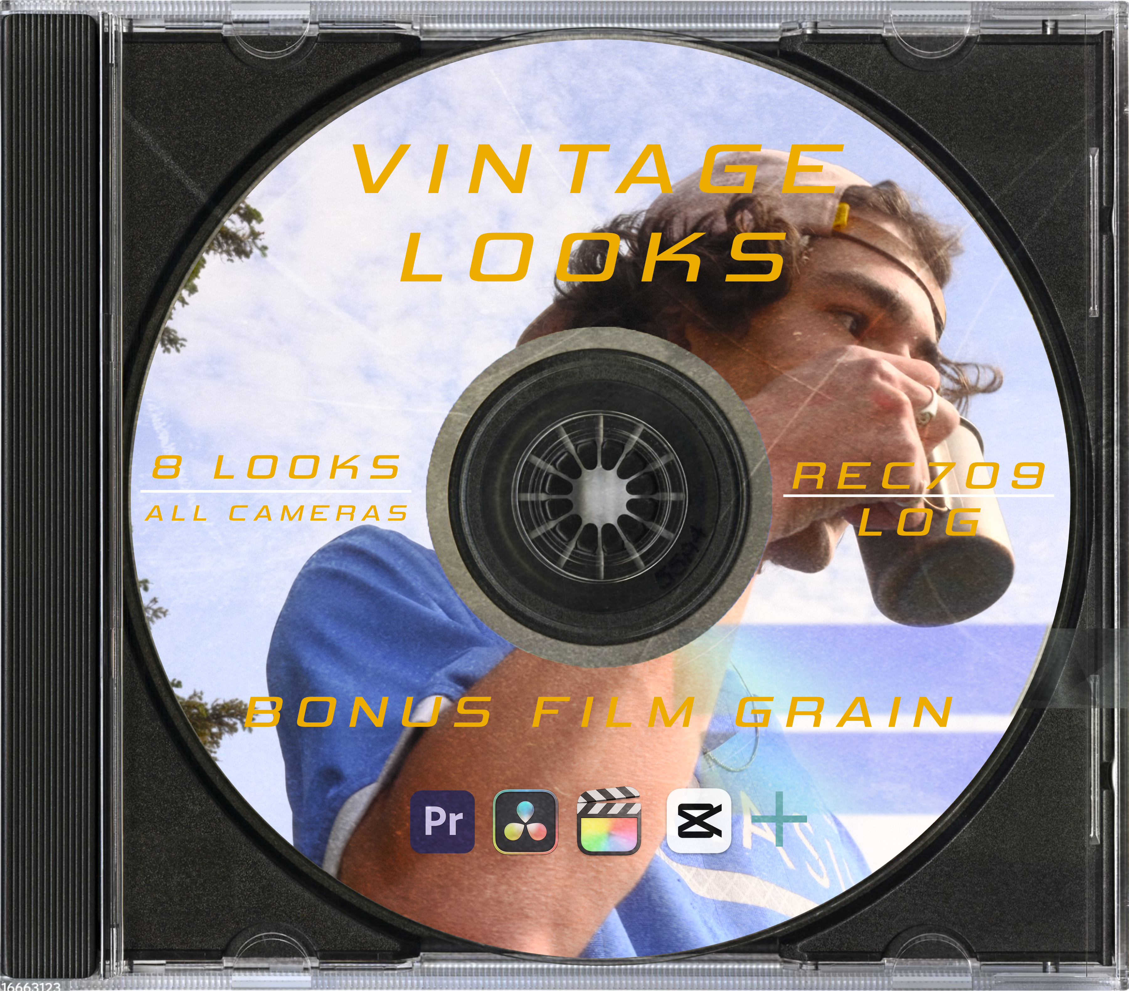 Vintage Looks - Luts